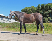 whimsey bf standing
